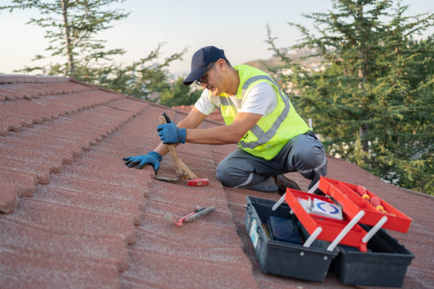 Best Roof Gutter Cleaning  in East Griffin, GA